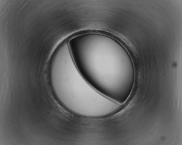 X0000100760926200806190906