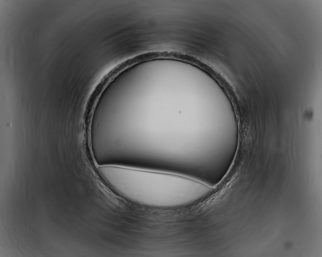 X0000100760927200806190906