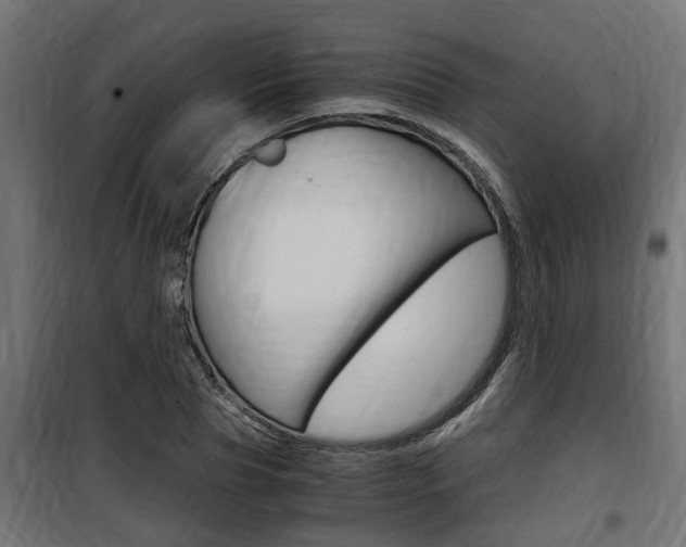 X0000100760929200806190906