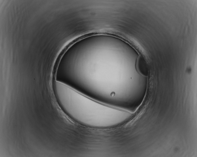 X0000100760932200806190906