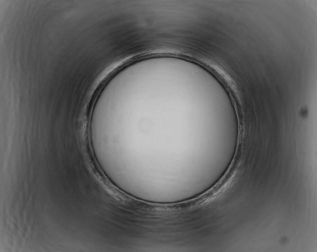 X0000100760933200806190906