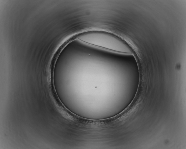 X0000100760934200806190906