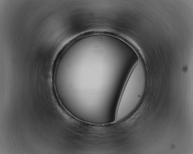 X0000100760935200806190906