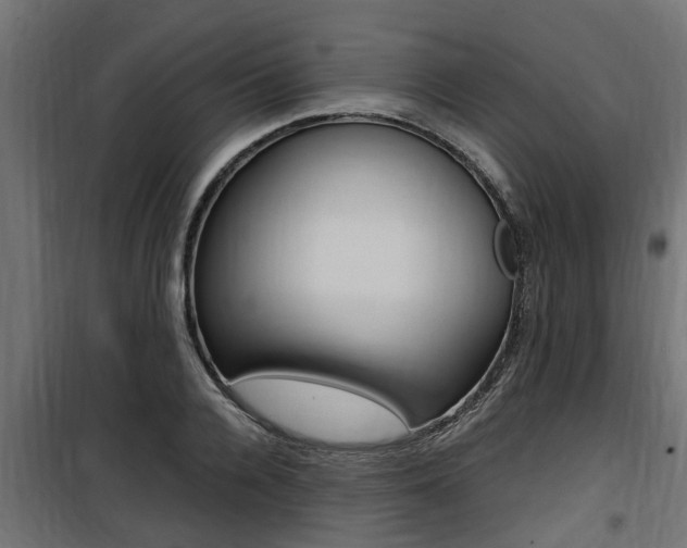 X0000100760936200806190906