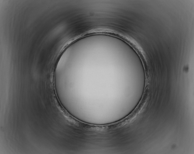 X0000100760937200806190906