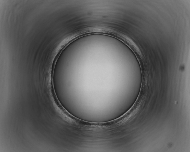 X0000100760938200806190906