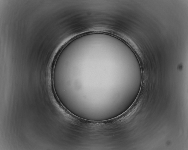 X0000100760939200806190906