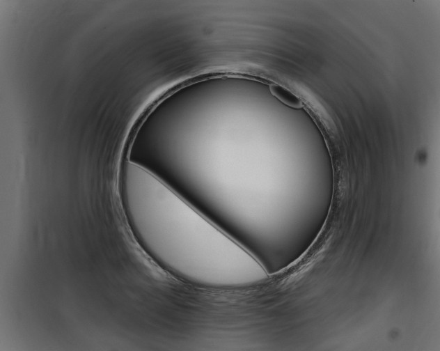 X0000100760940200806190906