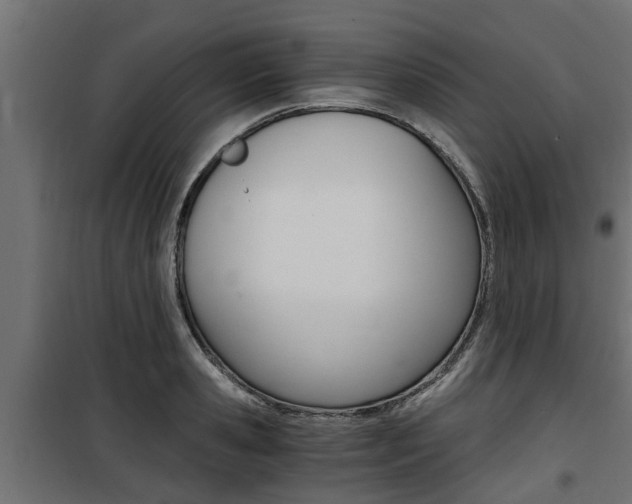 X0000100760941200806190906