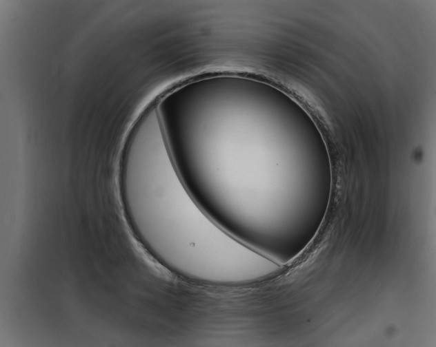 X0000100760942200806190906