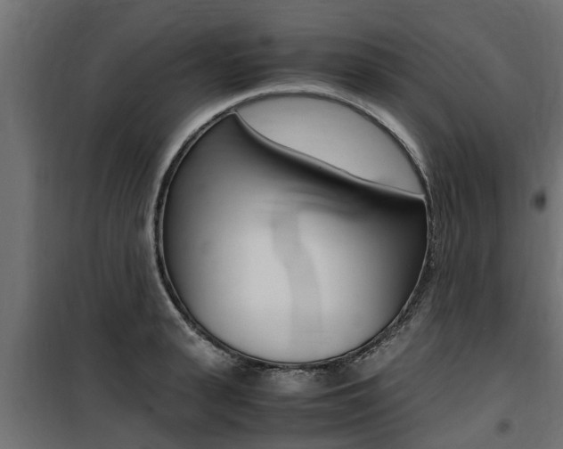 X0000100760943200806190906