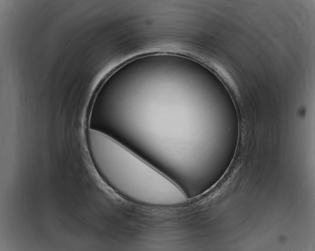 X0000100760944200806190906