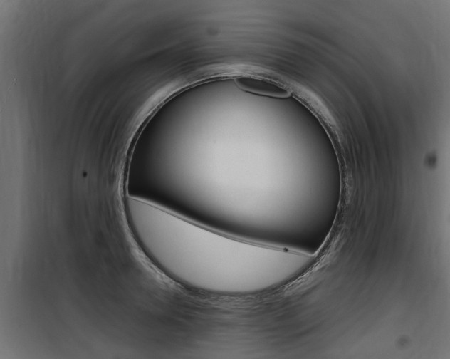 X0000100760946200806190906