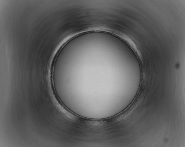 X0000100760947200806190906