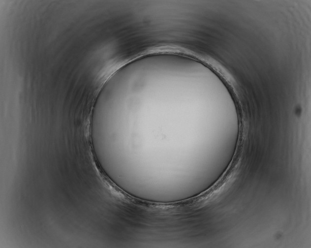 X0000100760953200806190906