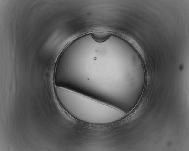 X0000100760954200806190906