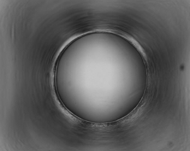 X0000100760955200806190906