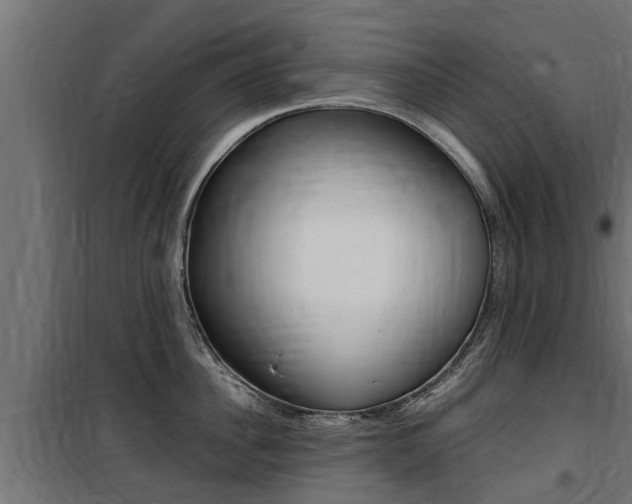 X0000100760956200806190906