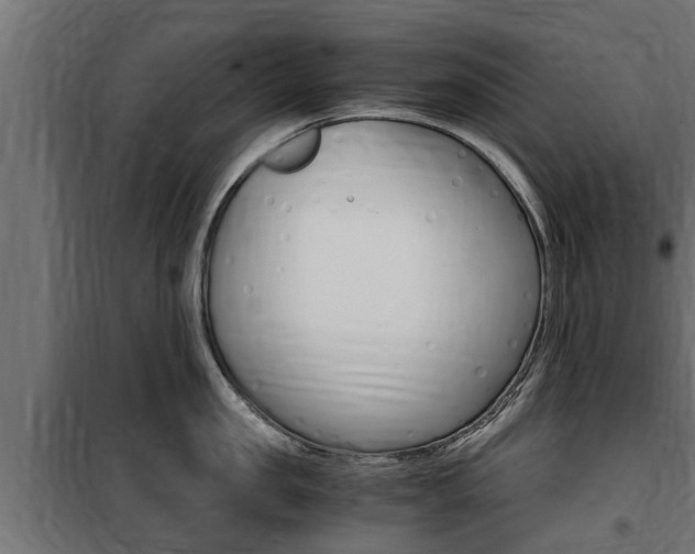 X0000100760957200806190906