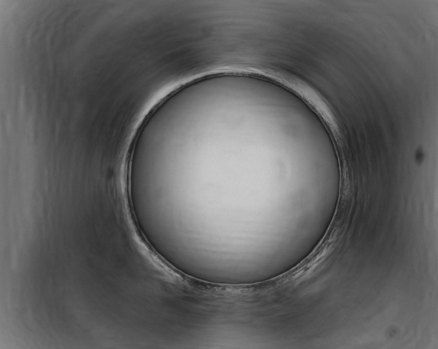 X0000100760958200806190906