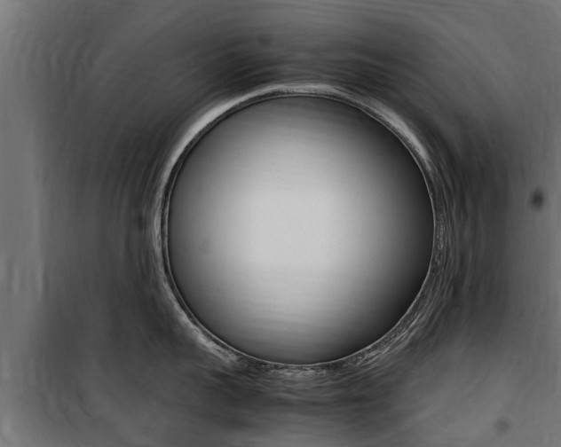 X0000100760959200806190906