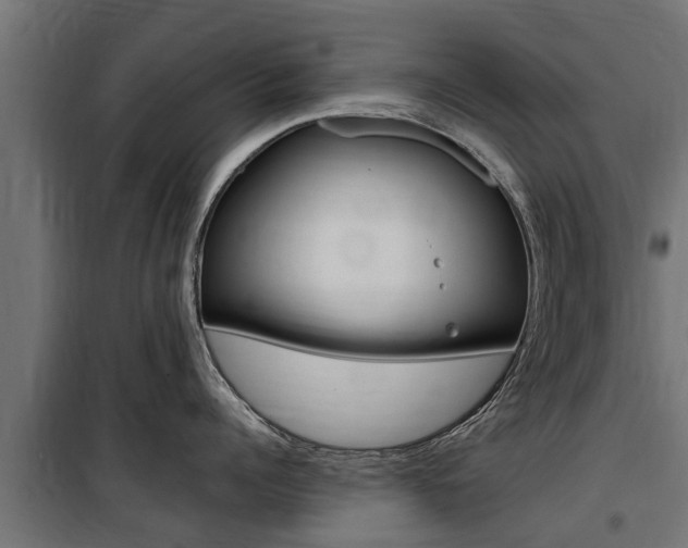 X0000100760960200806190906