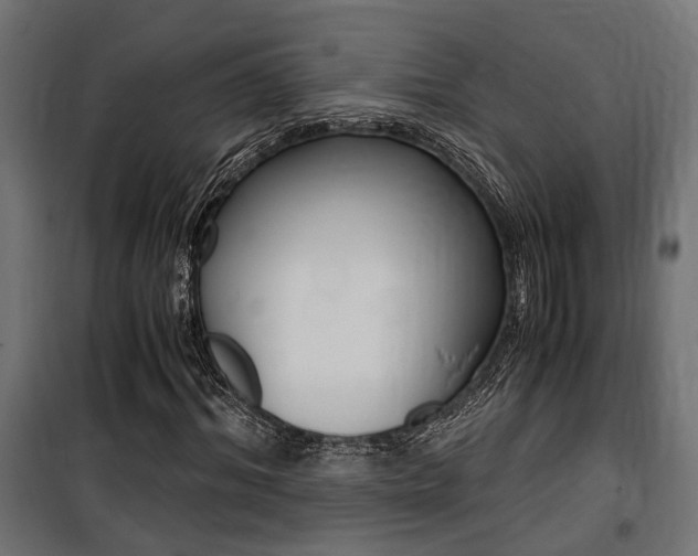 X0000100760964200806190905