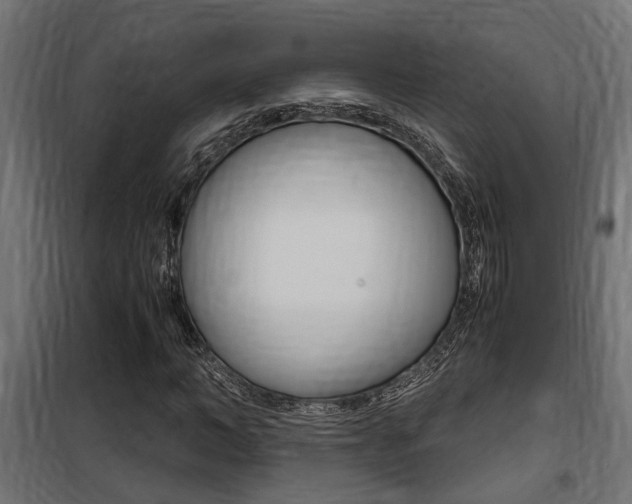 X0000100760966200806190905