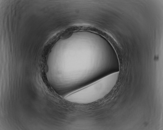 X0000100760967200806190905