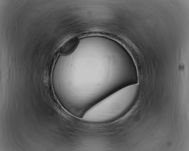 X0000100760969200806190905