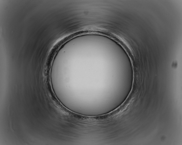 X0000100760971200806190905