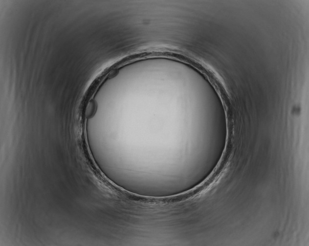 X0000100760973200806190905