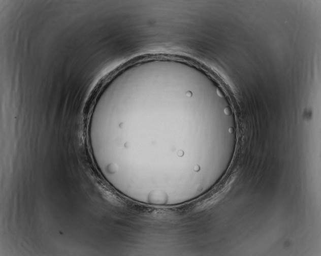 X0000100760974200806190905