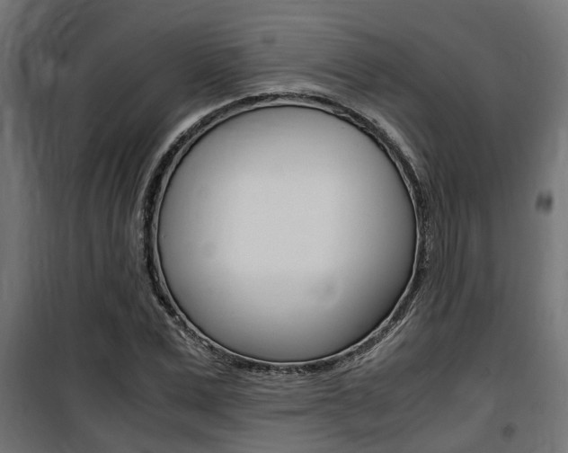 X0000100760975200806190905