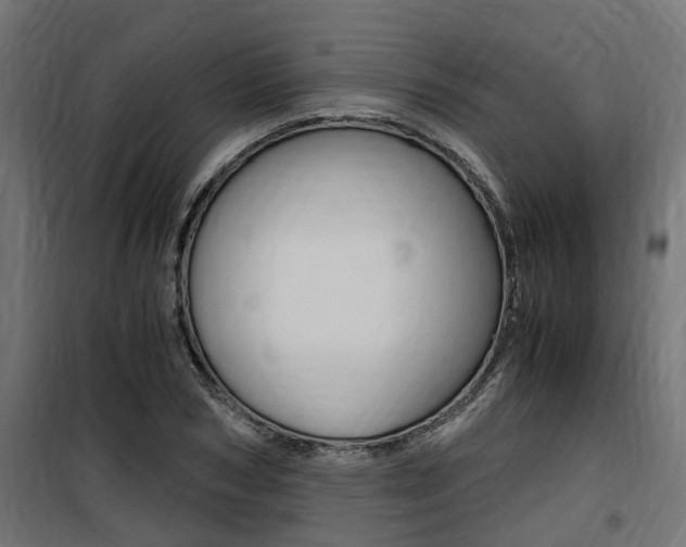 X0000100760978200806190905