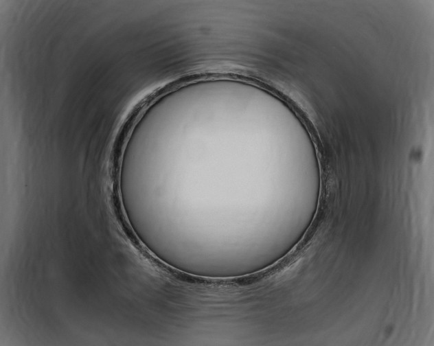 X0000100760979200806190905