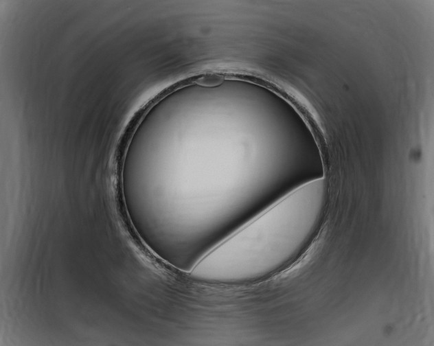 X0000100760981200806190905