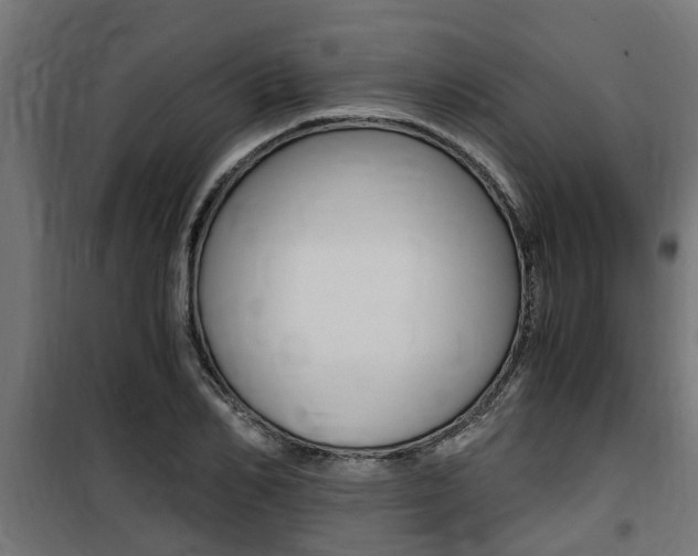 X0000100760982200806190905