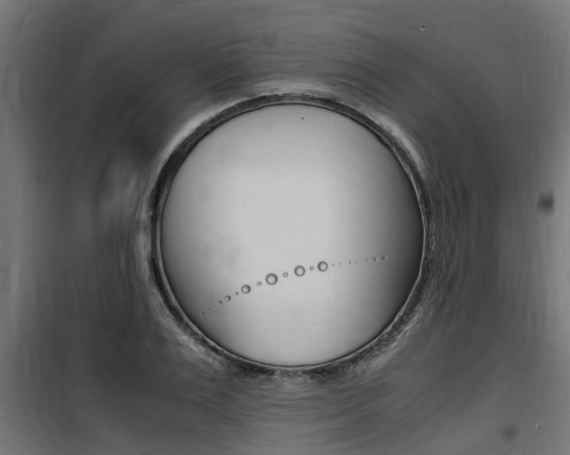 X0000100760983200806190905