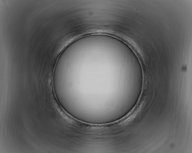 X0000100760985200806190905