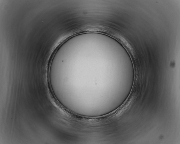 X0000100760986200806190905