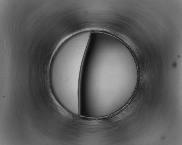 X0000100760988200806190905