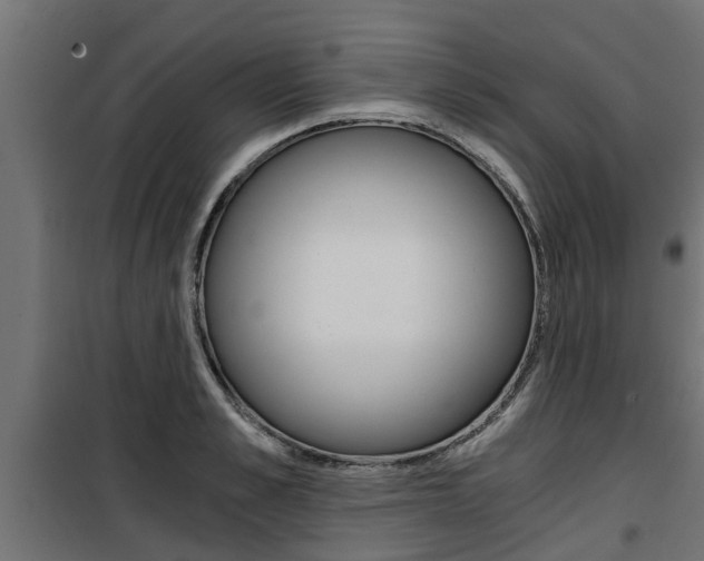 X0000100760989200806190905