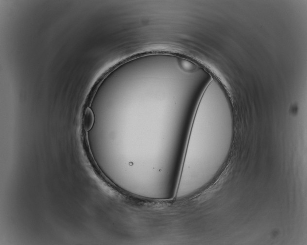 X0000100760991200806190905