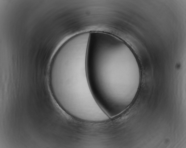 X0000100760992200806190905