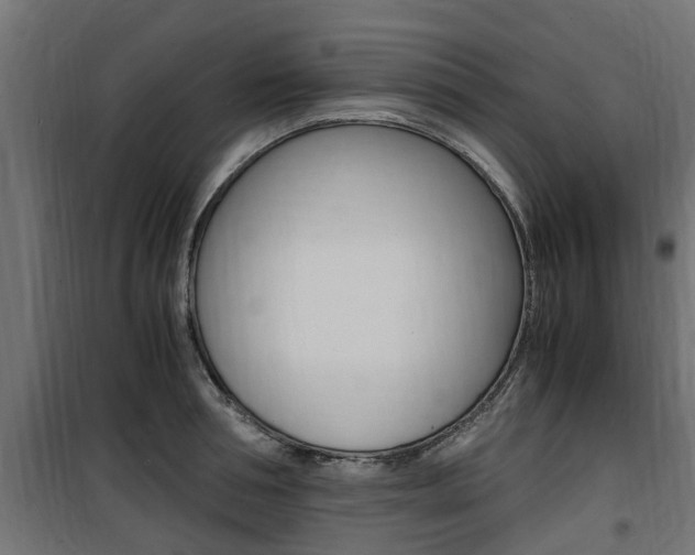 X0000100760994200806190905