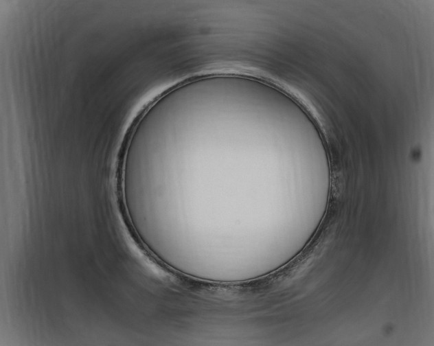 X0000100760995200806190905