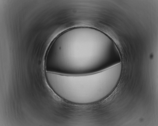 X0000100760996200806190905