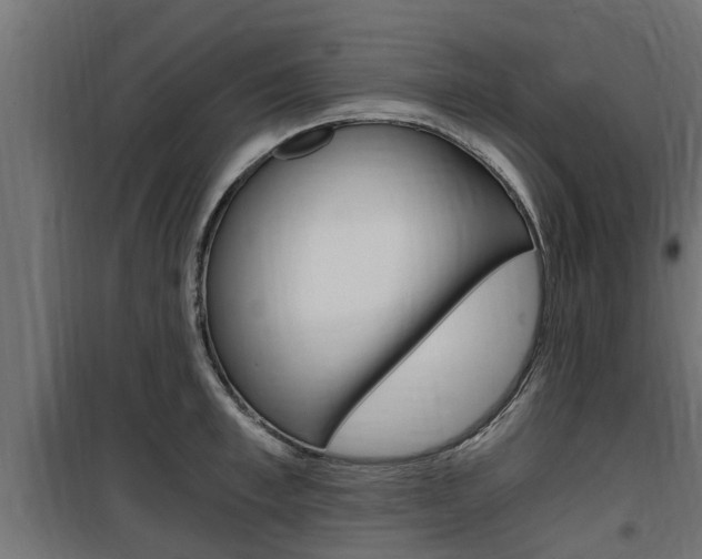 X0000100760997200806190905