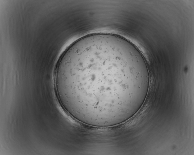 X0000100760998200806190905